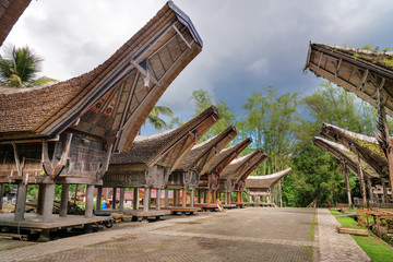 Fototapeta na wymiar Tongkonan traditional rice barns and house