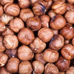 many dried uncooked hazelnuts
