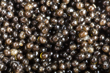many black sturgeon caviar close up