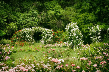 Rose Spring Garden