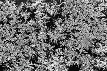 natural frost texture on window glass in winter