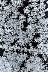 frost on a windowpane in winter