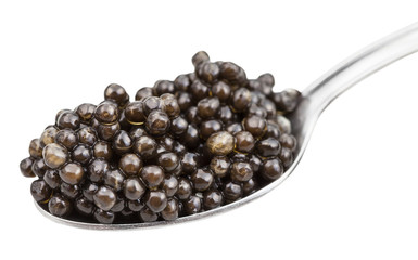 metal spoon with black sturgeon caviar isolated