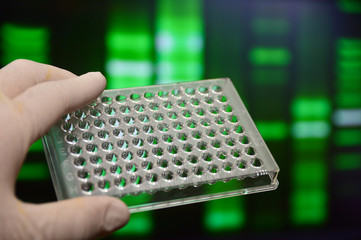 Well plate in the lab.