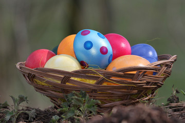 Osterkorb mit vielen bunten Ostereiern