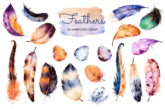Watercolor hand painted set with 19 elements; feathers and eggs. Hand drawn collection with colorful feathers and eggs.Feather isolated on white background. Can be used for your own scene, blogs,print