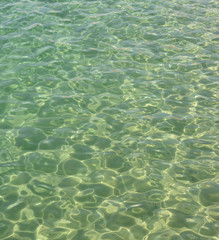 Fototapeta na wymiar Flecks of sunlight are in clear sea water.