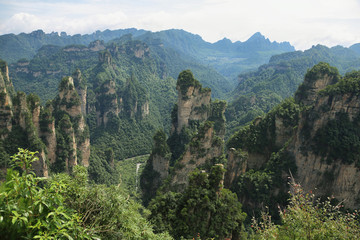 Fototapeta na wymiar Impressive sandstone pillars in Yuangjiajie area