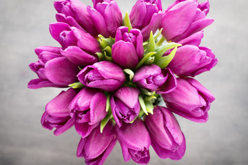 Obraz premium Purple tulip bouquet on the gray background.