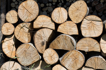 Fototapeta premium dry chopped firewood logs in a pile
