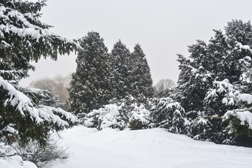 Зимний парк, парк засыпанный снегом, деревья под...