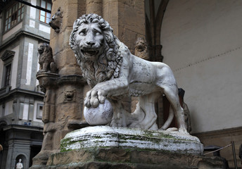Medici lion at Signoria square in Florence, Italy