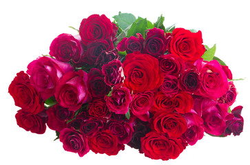 Fototapeta na wymiar Border of red and pink roses 