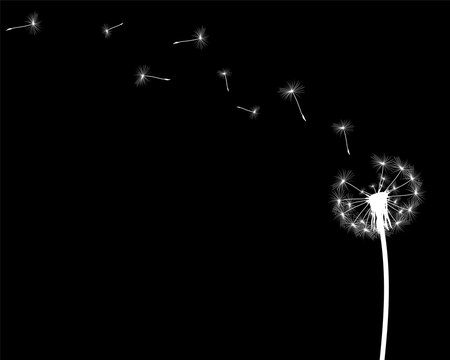 silhouette with flying dandelion buds
