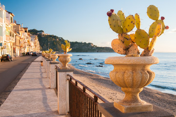 View of an ornamental vase with a cactus plant along the seafront of the touristic village Giardini...