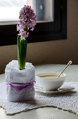 Blossoming hyacinth on the table and a Cup of coffee