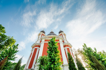 Fototapety na wymiar - Fototapeta24.pl