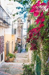 Fototapeta na wymiar Flowered Iresine plant along a typical narrow alley of Taormina, Eastsicily