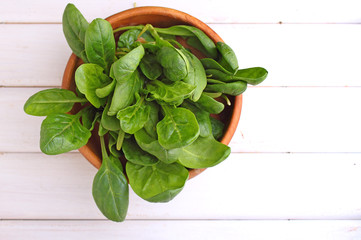 green spinach leaves on white and black vintage background