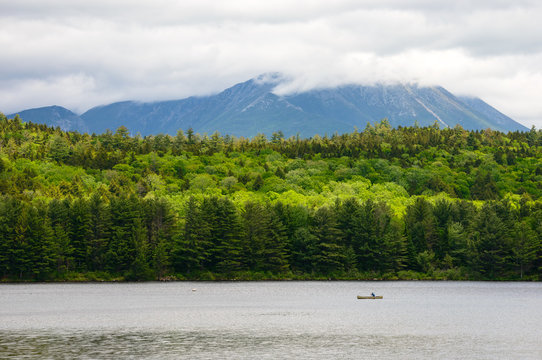 Maine North Woods