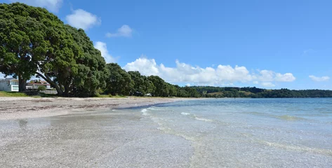 Poster Landscape of Snells Beach near Warkworth New Zealand © Rafael Ben-Ari