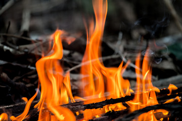 Fire burns wood chips