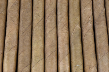 Small Cigars in Cigar Case