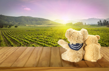 Two teddy bears looking at the sunset - 101576895