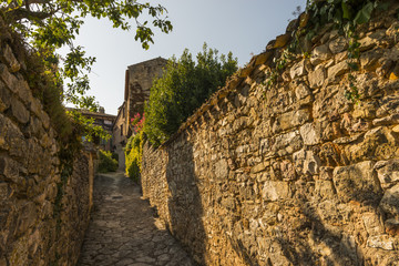 Fototapeta na wymiar Puycelsi, village médiéval et bastide du Tarn