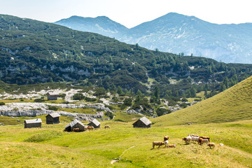 Fototapeta na wymiar Mountains in Austria