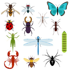 Cartoon isolated colorful insects set