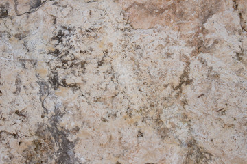 Obraz na płótnie Canvas White Rock texture