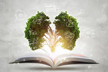 Book of growing knowledge with brains big tree.