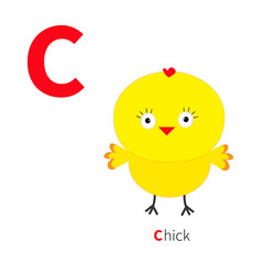 Letter C Chick bird Zoo alphabet. English abc with animals Education cards for kids Isolated White background Flat design
