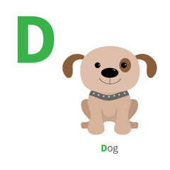 Letter D Dog Zoo alphabet. English abc with animals Education cards for kids Isolated White background Flat design
