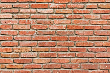 Fototapeta premium Powierzchnia długich cienkich cegieł