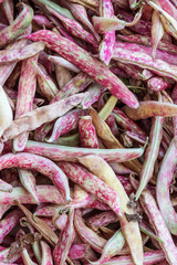 Pile of fresh bean legumes at farmers market stall.