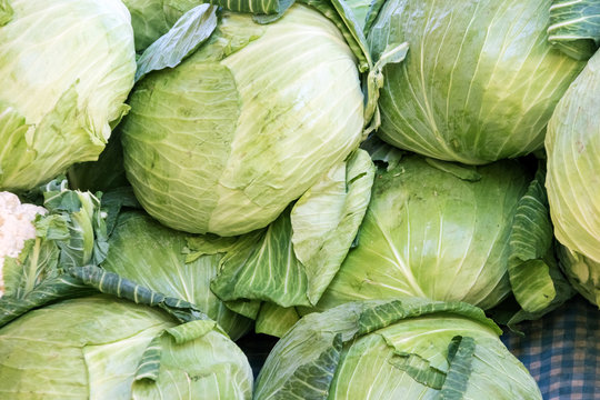 Cabbage at farmers market stall.