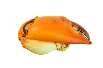  crab
