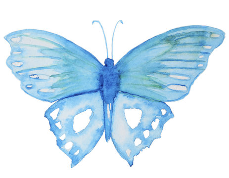 Watercolor butterfly on white