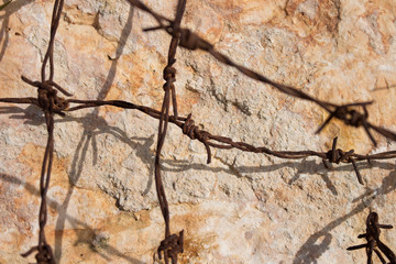 Barbed wire on the rocks
