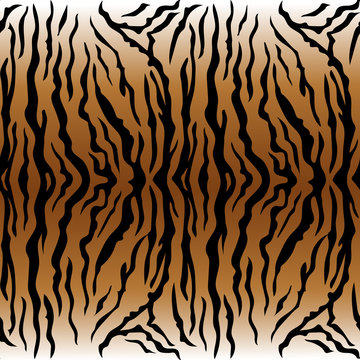 Animal pattern Tiger