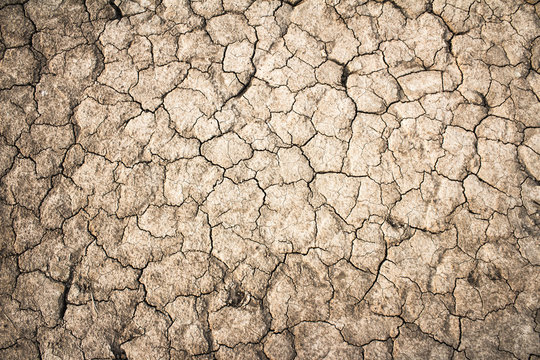 Details of a dried cracked earth soil