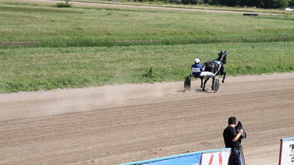 Horse at gallop on race track