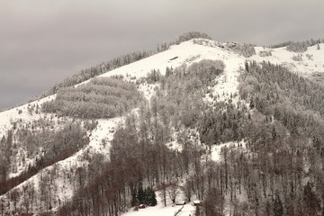 hills covered with snow