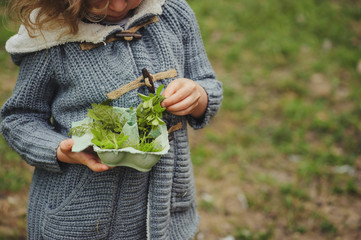 summer outdoor activity for kids - scavenger hunt, leaves sorting in egg box, nature exploration