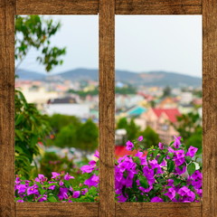 View from a wooden box with flowers on blurred urban background