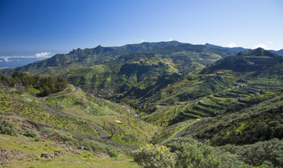 Naklejka premium Central Gran Canaria, View across Barranco de Las Lagunetas