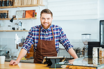 Happy handsome barista in checkered shirt and brown apron - obrazy, fototapety, plakaty