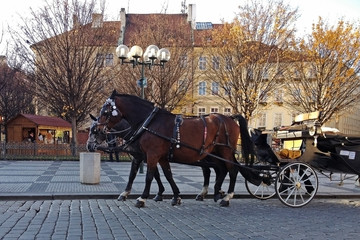 Obraz na płótnie Canvas horse drawn carriage